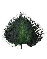 Anahaw Leaves Apple Green x 5pcs