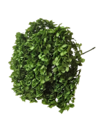 Preserved Hydrangea 25 - 30cm Natural Green