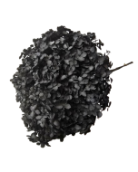 Preserved Hydrangea 25 - 30cm Black
