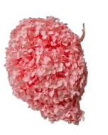 Preserved Hydrangea 25 - 30cm Light Pink