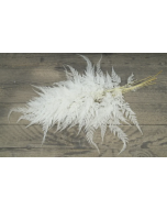 Snow Flake Fern Bleached x 10pcs