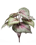 Begonia Leaves Bush Grey/Pink 25cm UV Protected