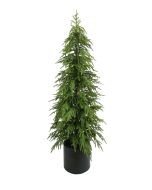 150cm Balsam Fir Tree in Planter