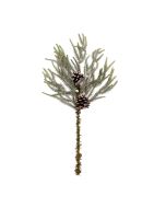 60cm Snowy Norfolk Pine Spray with Pinecones