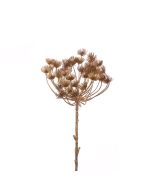 Metallic Dandelion Head Spray Copper