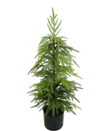 124cm Potted Pine Tree - Green (124cm long)