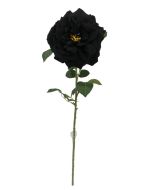 Single Velvet Open Rose - Black (75cm long)