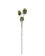 Artificial Scabiosa Stellata - Green (3 heads, 71cm long)