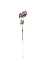 Artificial Scabiosa Stellata - Pink (3 heads, 71cm long)