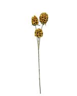 Artificial Scabiosa Stellata - Yellow (3 heads, 71cm long)