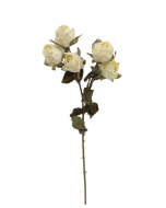Artificial Dry Rose Bush - Ivory (43cm long with 5 heads)