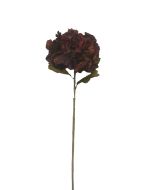 Dry Look Hydrangea - Burgundy (25cm diameter, 80cm long)