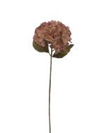 Dry Look Hydrangea - Pink (25cm diameter, 80cm long)