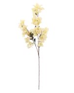 Dry Look Bougainvillea Spray - Cream (108cm long)