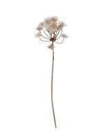Frosty Cow Parsley - White/Brown (98cm long)