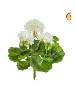 Plants Flowering Geranium White 23cm FR