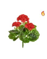 Plants Flowering Geranium Red 23cm FR