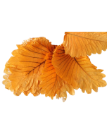 Caban Leaves Orange x 5ps App 25 - 35cm