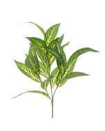 Dieffenbachia Leaf Spray 83cm