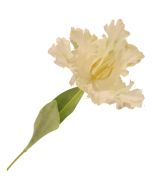69cm Parrot Tulip Single Cream