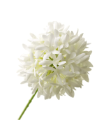 79cm Agapanthus White - Recycled