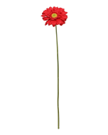 Single Gerbera 72cm Red