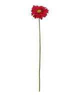Single Gerbera 72cm Burgundy
