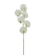 Sweet Pea Spray 42cm White