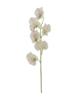 Sweet Pea Spray 42cm Pink/White