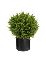 UV Cypress Ball 60cm In Stockholm Pot Black