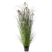 Potted Wild Flower Plant 122cm