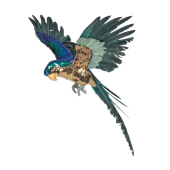Blue W/Gold Sequins Macaw 55cm