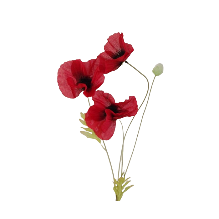 Poppy Spray x 3 Heads Red