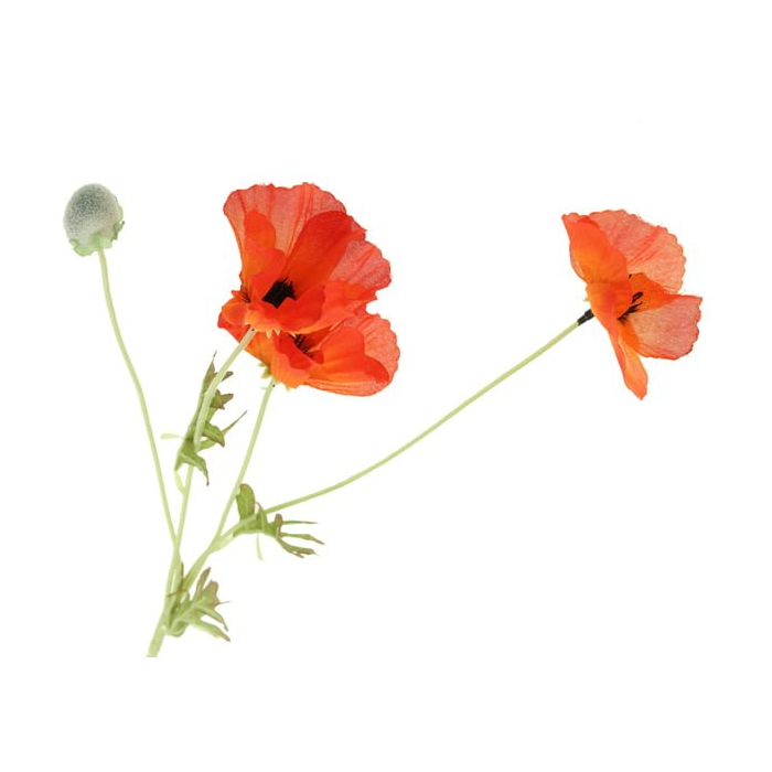 Poppy Spray x 3 Heads Orange