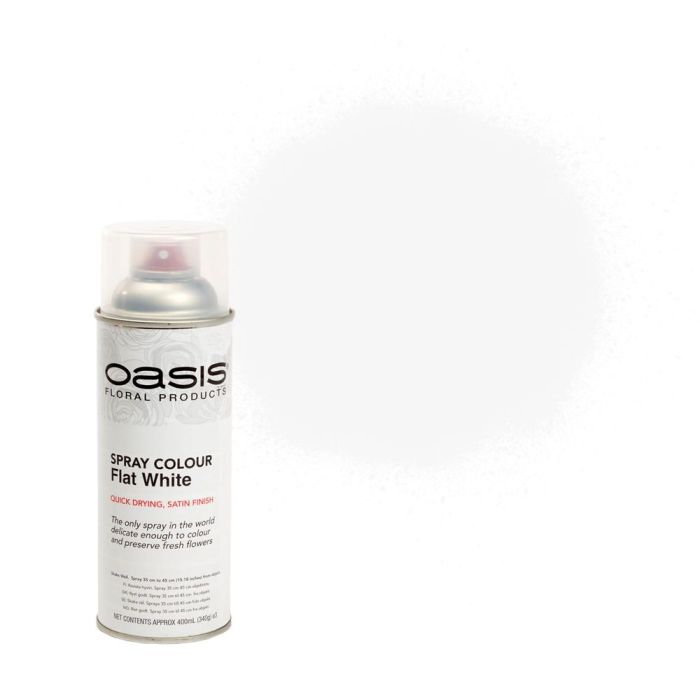 OASIS® Spray Colour Flat White