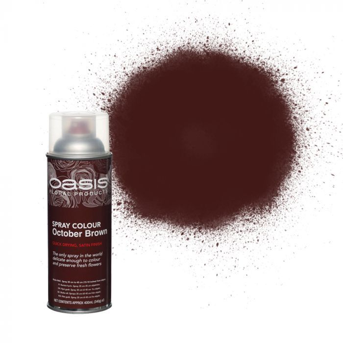 OASIS® Spray Colour October Brown