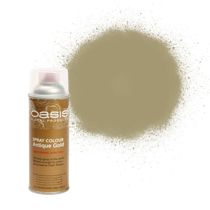 OASIS® Spray Colour Antique Gold