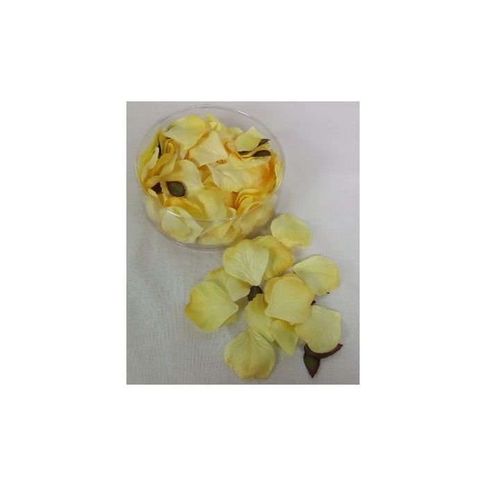 Petal Box x 164 Gold/Yellow
