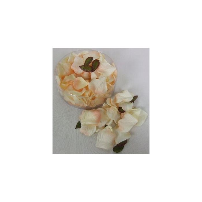 Petal Box Peach x 164