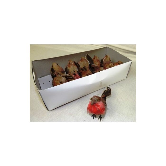 Set of 12 Robin Red Breasts