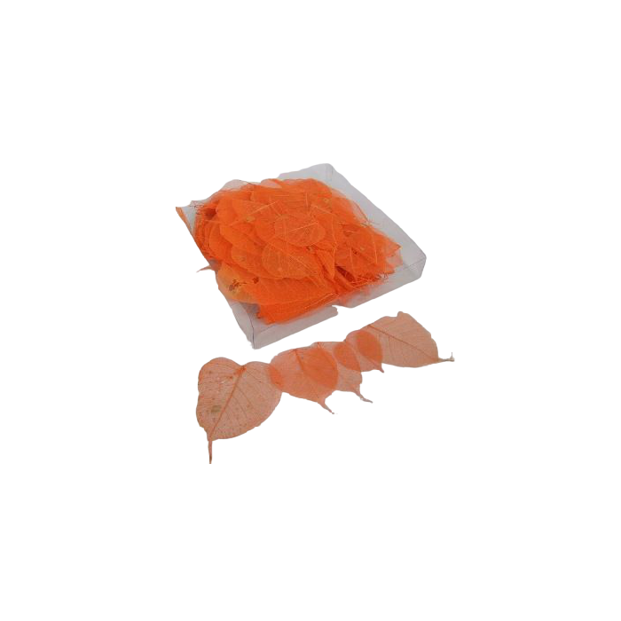 Skeleton Leaves Bleached Orange X 200