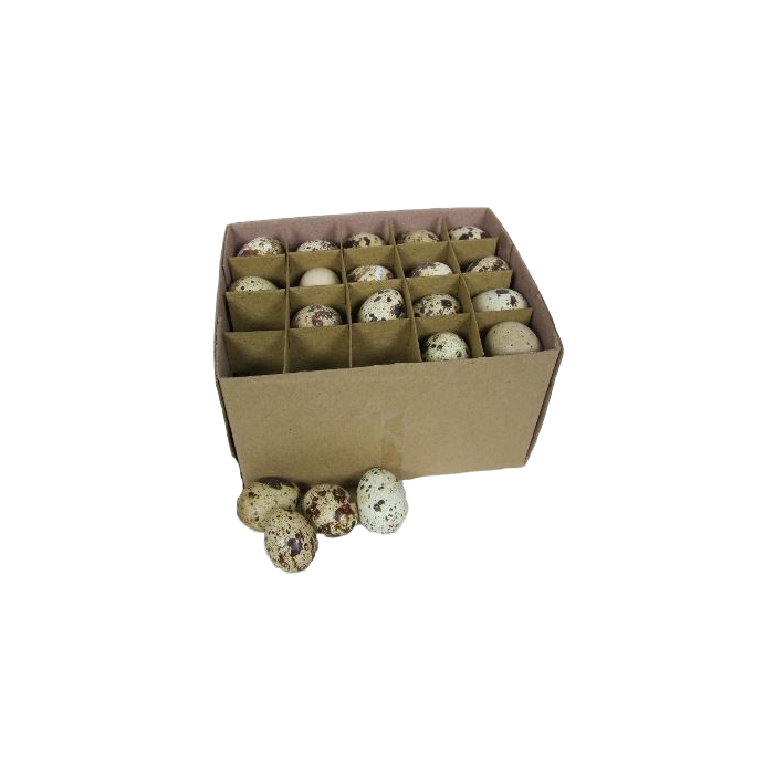 BLOWN Quail Eggs x 60 - Not Edible 