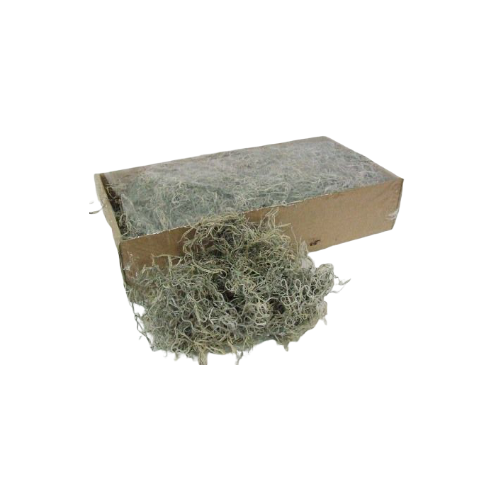 Tillandsia Moss (Forest Moss) Bag Natural White x 200g