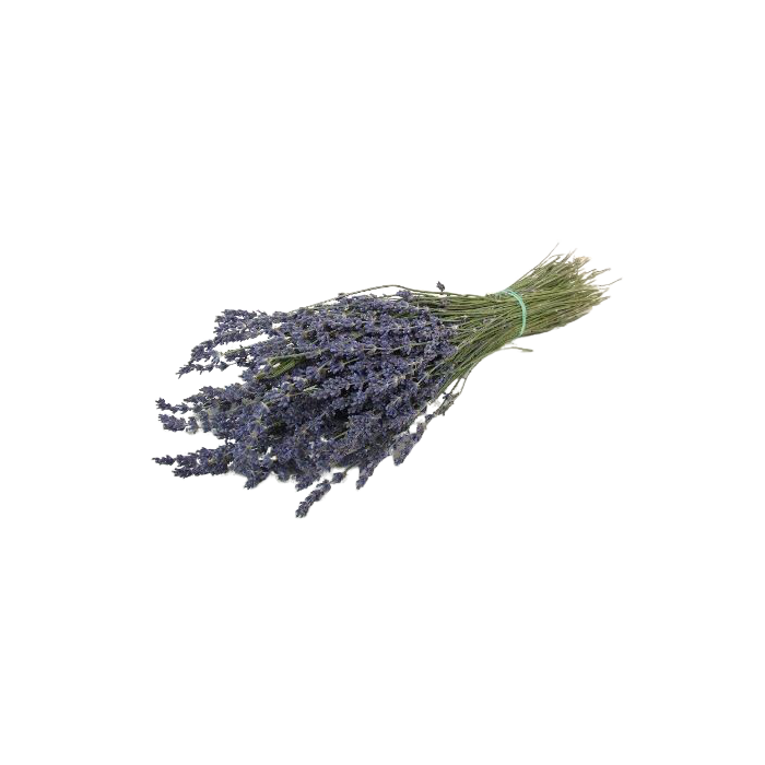 Dried Lavender Bunch