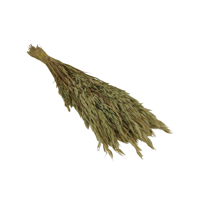 Dried Oats Natural Bunch