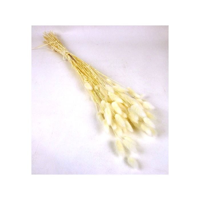 Lagarus/Bunny Tails Bleached Super White x 50g