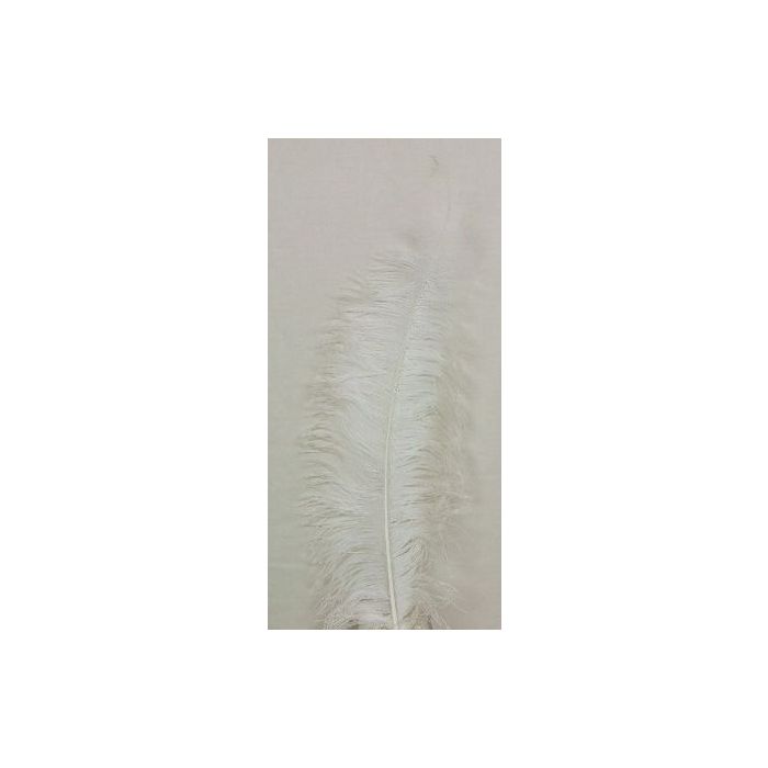 Ostrich Feathers White X 5