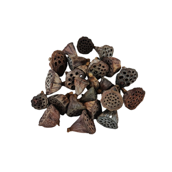 Lotus Heads Mini x 200pcs