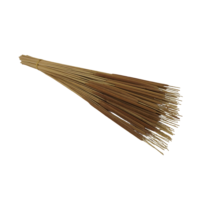 Typha Mini X 100 Stems App 75cm