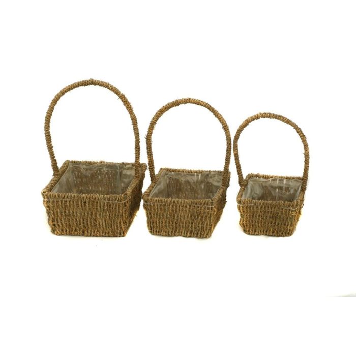 Seagrass Set Of 3 Baskets Rectangle